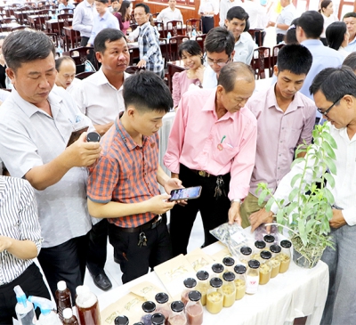 Tái cơ cấu nông nghiệp gắn với xây dựng nông thôn mới