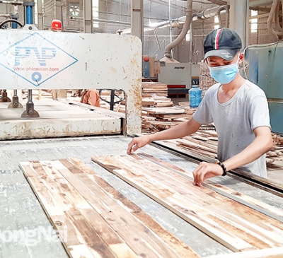 Đã có chợ đầu mối gỗ Tây, cần thêm chợ đầu mối 