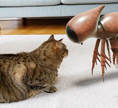 Nhìn lại năm 2020 từ Google