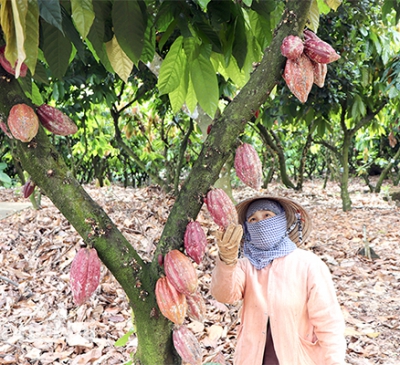 Hàng chục ngàn tỷ đồng rót vào nông nghiệp, nông thôn