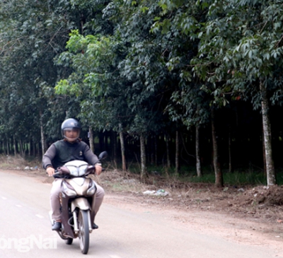 Đồng Nai có thêm 3 khu công nghiệp