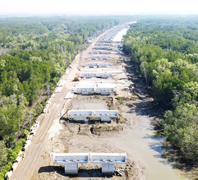 Hơn 3km đường cao tốc Bến Lức - Long Thành đi qua rừng ngập mặn