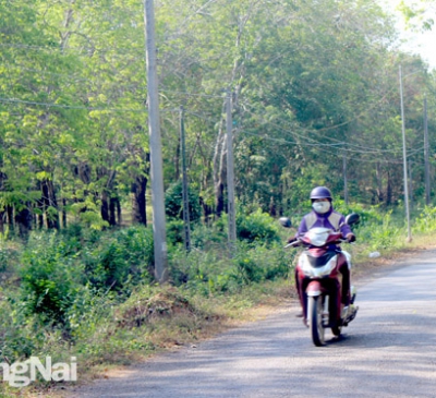 Nhanh chóng 'nới rộng' đất công nghiệp