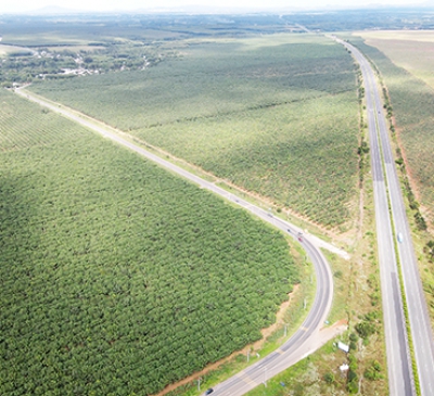 Ưu tiên tạo vốn phục vụ tái đầu tư