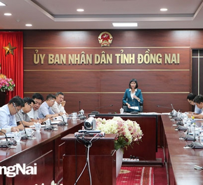 Đề xuất thu hồi các dự án cảng biển quá hạn nhưng chưa triển khai thực hiện