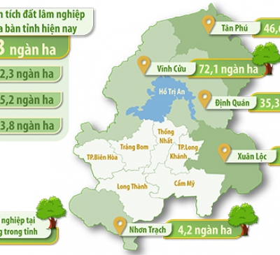 Cho thuê dịch vụ môi trường rừng: Tiềm năng chưa được khai phá