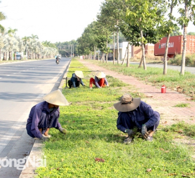 Chính phủ phê duyệt đề án trồng 1 tỷ cây xanh