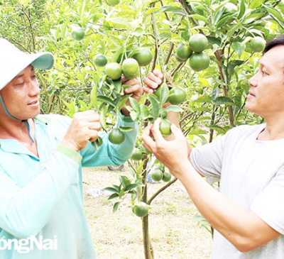 Cần sớm điều chỉnh bất cập trong Luật Đất đai