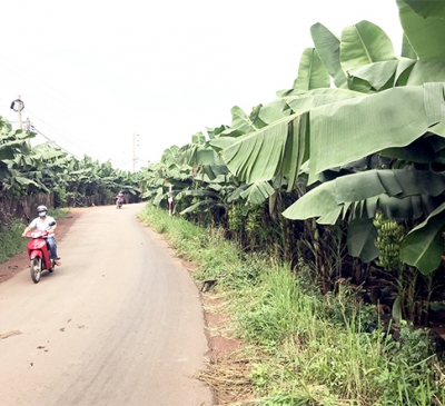 Bài 2: Bùng phát ''cơn sốt'' giá đất ảo, hệ lụy thật