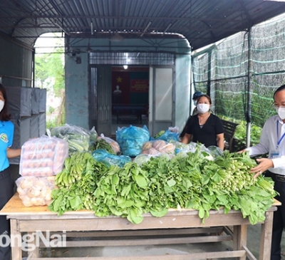 Sở Nông nghiệp và phát triển nông thôn kêu gọi kết nối hỗ trợ tiêu thụ nông sản