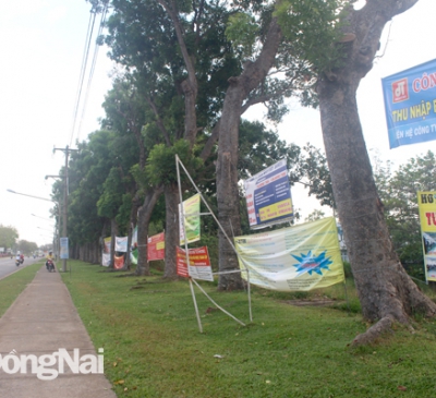 Cơ hội để mở rộng hợp tác và đầu tư