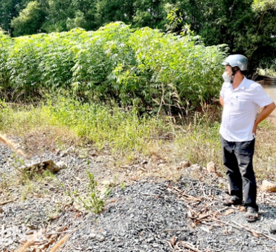 'Mạnh tay' với những vi phạm liên quan đến đất đai