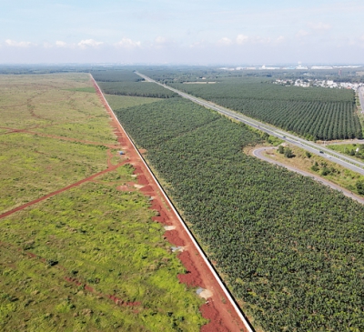 Quy hoạch vùng đặc thù để khai thác tối đa giá trị kinh tế của sân bay Long Thành