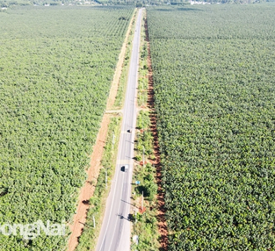 Khai thác quỹ đất lợi thế từ các dự án giao thông: Bài toán giải phóng mặt bằng