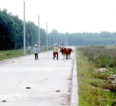 Ngăn chặn phân lô, bán nền đất nông nghiệp