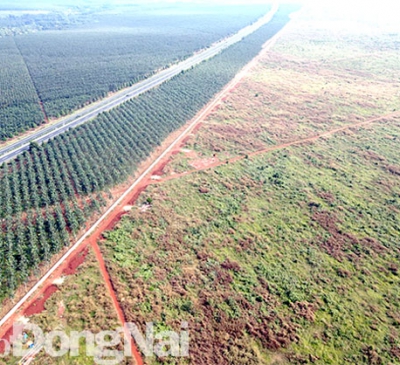 Giao thêm gần 195ha đất dự án Sân bay Long Thành cho Cảng vụ Hàng không miền Nam