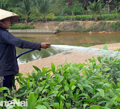 Phê duyệt quy hoạch sử dụng đất cấp huyện đến năm 2030