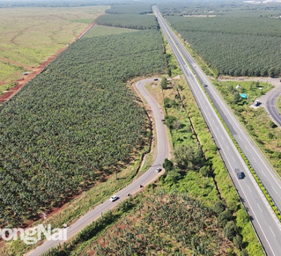 Thực hiện phương án tổ chức giao thông trên hương lộ 10 từ ngày 25-3