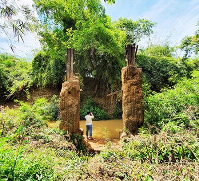 Đề xuất không mở đường đi xuyên qua rừng