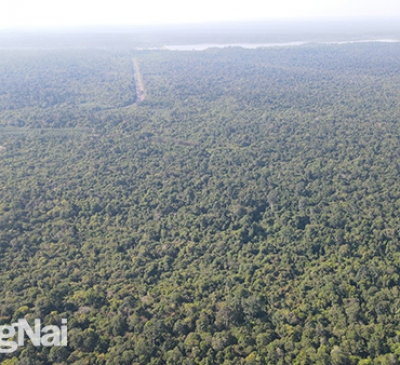 Xây dựng quốc lộ 13C xuyên Khu dự trữ sinh quyển thế giới Đồng Nai sẽ sử dụng khoảng 44ha đất rừng