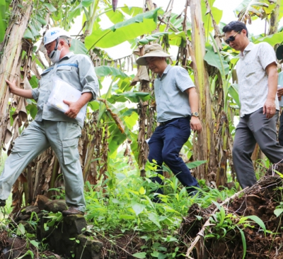Dự án Sân bay Long Thành: Tăng tốc bàn giao đất