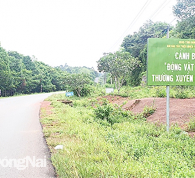 Lựa chọn phương án xây dựng tuyến giao thông kết nối Bình Phước - Đồng Nai