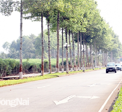 Trông đợi đấu giá nhiều khu đất 