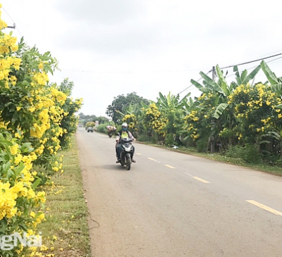 Đô thị hóa gắn với xây dựng nông thôn văn minh