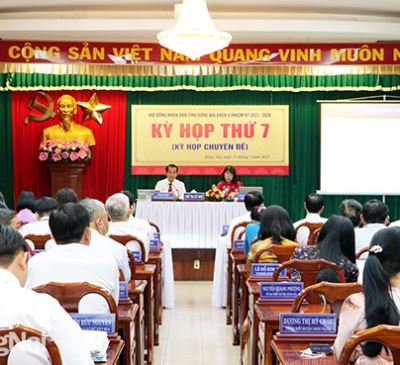Khai mạc kỳ họp thứ 7 - kỳ họp chuyên đề HĐND tỉnh khóa X