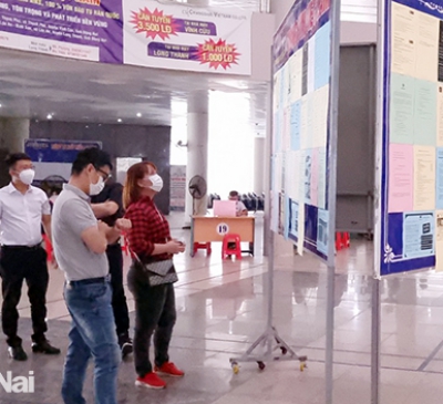 Doanh nghiệp có nhu cầu tuyển dụng trên 95% lao động phổ thông