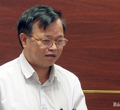 Đồng Nai cơ bản hoàn thành bàn giao 1.810 ha khu vực ưu tiên giai đoạn 1