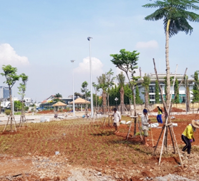 Nâng cấp hệ thống hạ tầng cho đô thị Biên Hòa