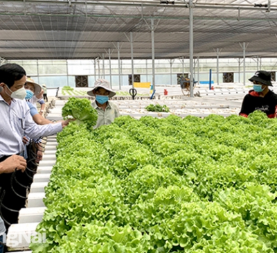 Thách thức trong xây dựng nông thôn mới ở Long Thành