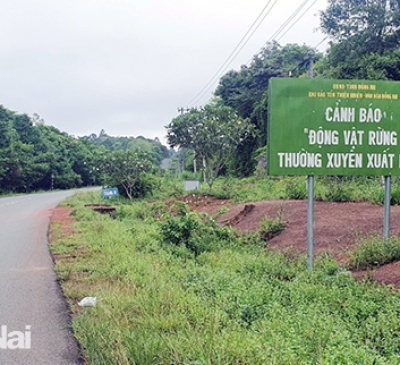 Bộ GT-VT kiến nghị không xây dựng cầu Mã Đà xuyên qua vùng lõi Khu dự trữ sinh quyển