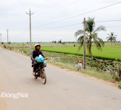 Đầu tư hạ tầng cho vùng sản xuất hàng hóa