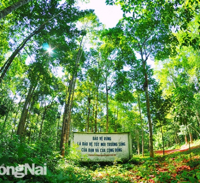 Bán tín chỉ carbon: Tiềm năng lớn của Đồng Nai