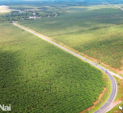 Tính toán phương án khai thác quỹ đất vùng phụ cận các dự án giao thông