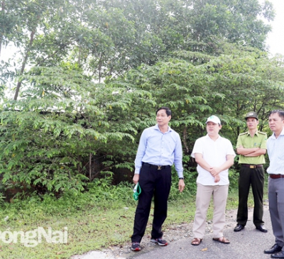 Giải pháp nào để quản lý, khai thác đất công hiệu quả?