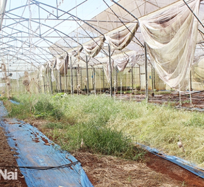 Vụ sai phạm tại Trung tâm Công nghệ sinh học huyện Cẩm Mỹ: Chuyển hồ sơ sang CQCS điều tra