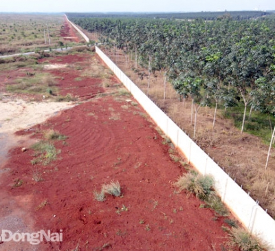 Hoàn thành xây dựng hơn 6,5km tường rào khu vực dự án Sân bay Long Thành giai đoạn 1