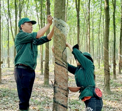 Vững tin ở vùng đất mới