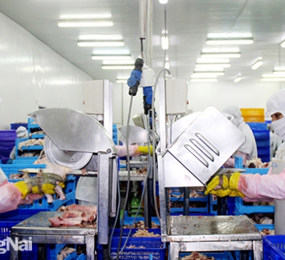 Gấp rút đầu tư công nghiệp hỗ trợ cho ngành Nông nghiệp