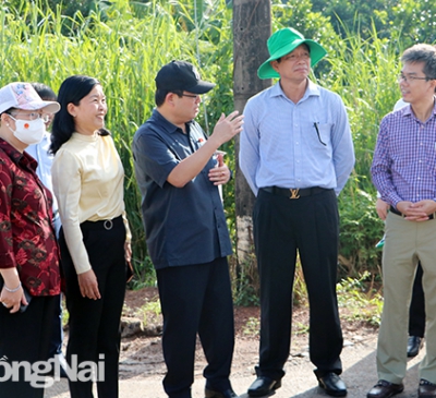 Chấn chỉnh, tăng cường công tác quản lý quy hoạch, quản lý trật tự xây dựng