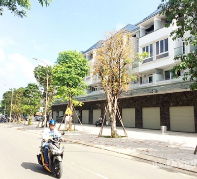 Nên bổ sung quy định đặt cọc nhà, đất dự án