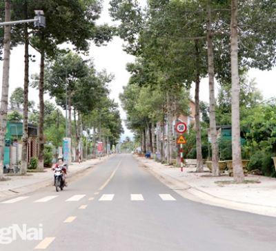 Cần chú trọng công tác quy hoạch và quản lý quy hoạch