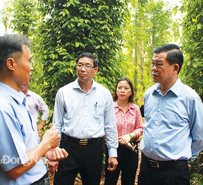 Nông dân đi đầu trong phát triển sản xuất, xây dựng nông thôn mới