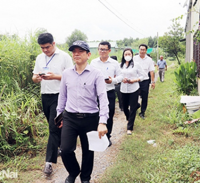 Gấp rút hoàn thành thủ tục cho hàng trăm dự án