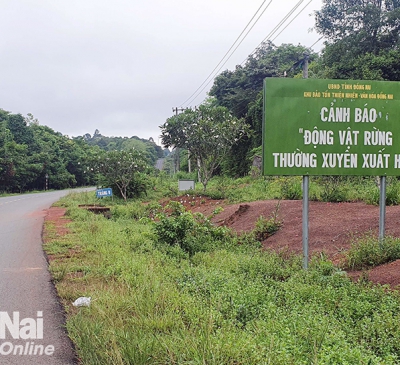 Báo cáo Chính phủ phương án tuyến đường kết nối Bình Phước và Đồng Nai