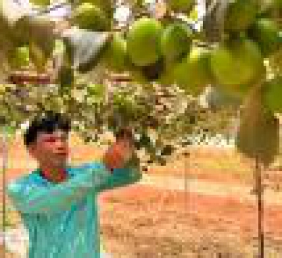 Đồng Nai tìm cách khai thác giá trị từ du lịch