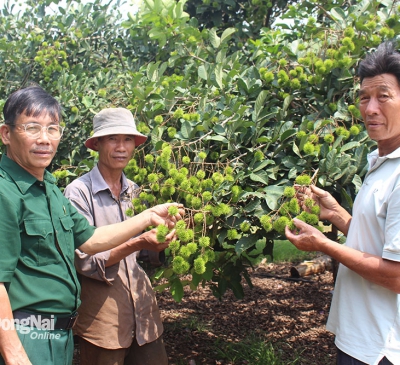 Đổi thay nơi vùng đất khó